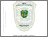 [thumbnail of 176510587.pdf]
