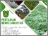 [thumbnail of Paper Book Chepter Pertanian Berkelanjutan 2024.pdf]