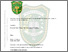 [thumbnail of 156210041.pdf]