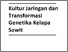 [thumbnail of BUKU FATHUR 2-1 oke.pdf]